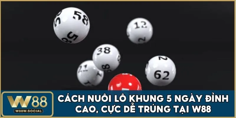 Cách Nuôi Lô Khung 5 Ngày Đơn Giản, Cực Dễ Trúng Tại W88